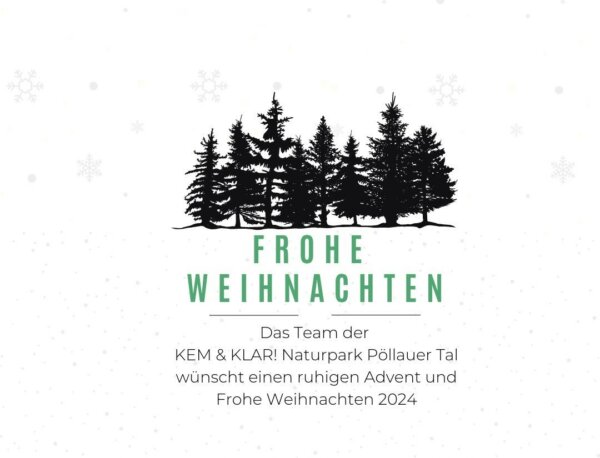 Frohe Festtage und ein gutes neues Jahr 2025