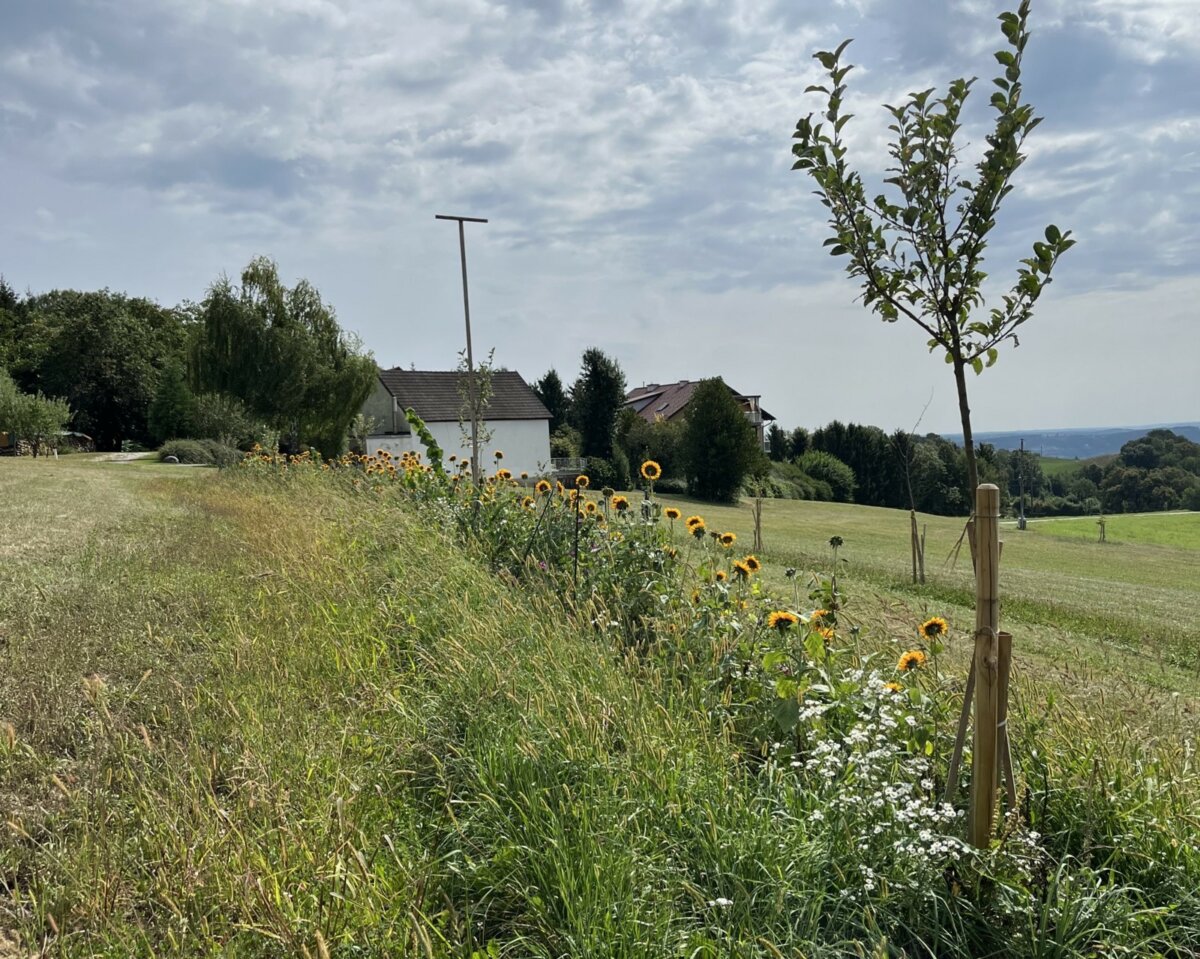 20. März - Naturpark im Gespräch: Miteinander für unsere Region