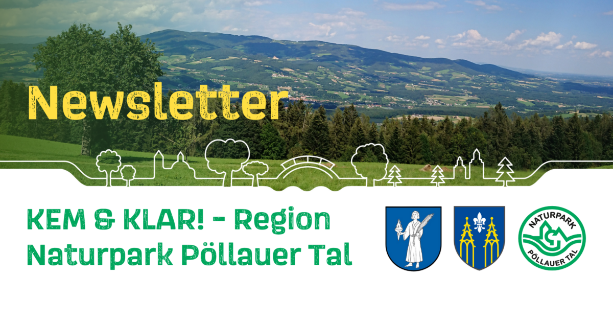 Newsletter 2025 (2)