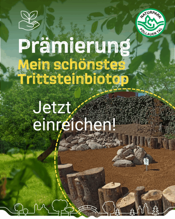 Prämierung der schönsten Trittsteinbiotope im Naturpark Pöllauer Tal