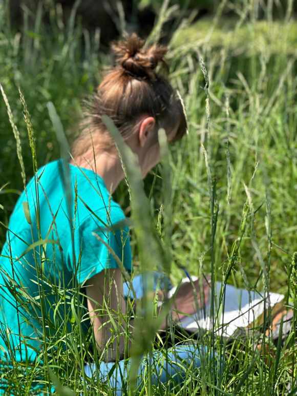 Nature Sketching- Wanderung mit Kunst und Botanik