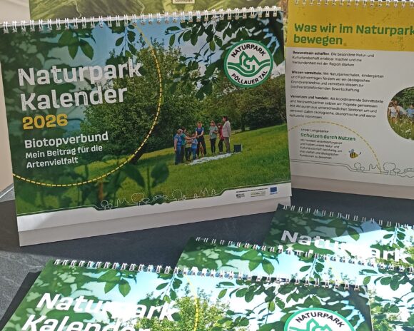 Prämierung „Mein schönstes Trittsteinbiotop im Naturpark“