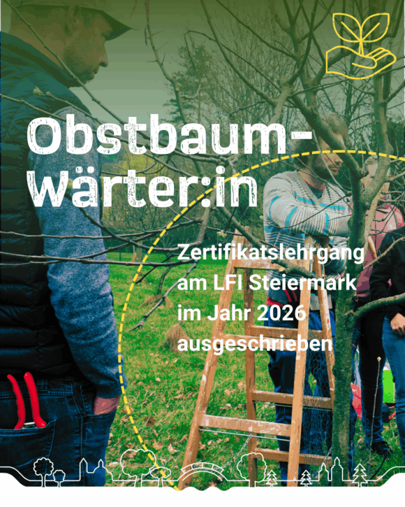 Zertifikatslehrgang Obstbaumwärter:in