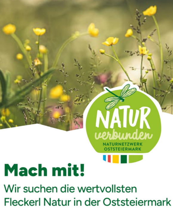 mein fleckerl natur - newsletter
