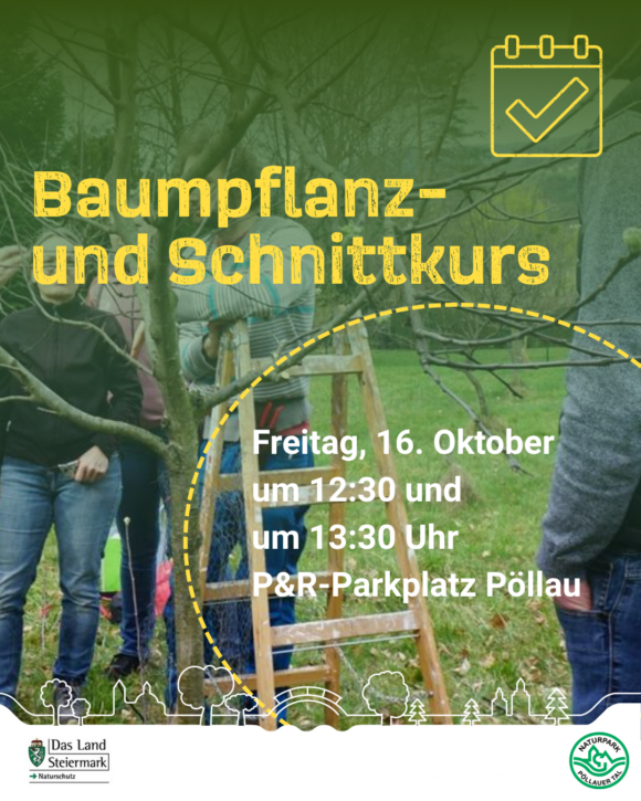 schnittkurs