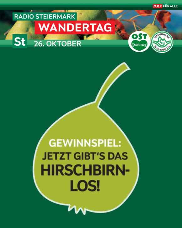 HiBi Gewinnspiel 2026 Hauptpreise (4_5)